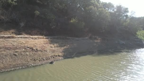 Drohnenflug Über Wasser Hundesee Kalifornischen Belmont — Stockvideo