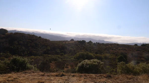 Foto Von Crystal Springs Naturschutzgebiet San Mateo Kalifornien — Stockfoto