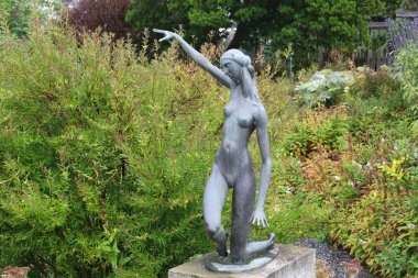 Fort Bragg, Kaliforniya: 11-10-2021; Kaliforniya, Mendocino 'daki botanik bahçelerinde heykel fotoğrafı