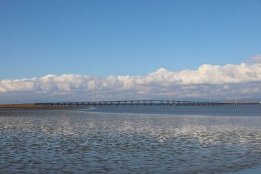 Ravenswood Park California 'dan Dumbarton Köprüsü' nün fotoğrafı.