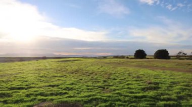 Hayward Shoreline, Kaliforniya 'da sislerin zaman aşımı