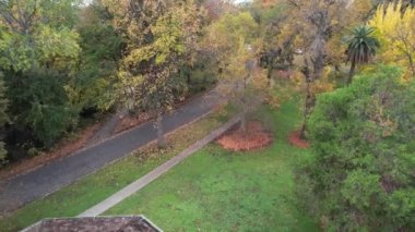 Bidwell malikanesinin üzerinde uçuyor, Chico.