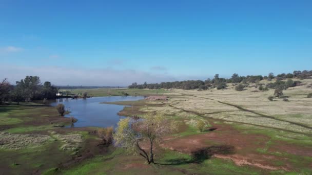 Volando Sobre Parque Bidwell Chico California — Vídeos de Stock