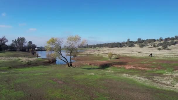 Volando Sobre Parque Bidwell Chico California — Vídeos de Stock