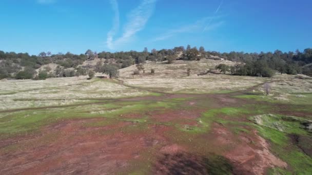 Volando Sobre Parque Bidwell Chico California — Vídeo de stock