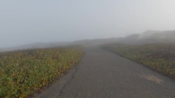 Andar Bicicleta Através Trilhas Terras Altas Mendocino Parque Noyo Parque — Vídeo de Stock