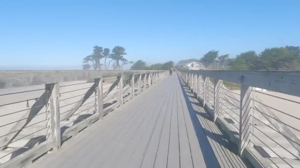 Pedalare Attraverso Sentieri Negli Altopiani Mendocino Parco Noyo Parco Statale — Video Stock