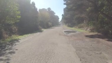 Mendocino dağlık arazilerinde bisiklet sürerken, Noyo Parkı, Mackeericher Eyalet Parkı