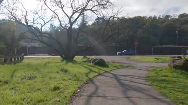 Fietsen Moraga Orinda Lafayette Trail — Stockvideo