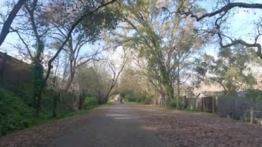 Bisikletli Moraga Orinda Lafayette yolu 