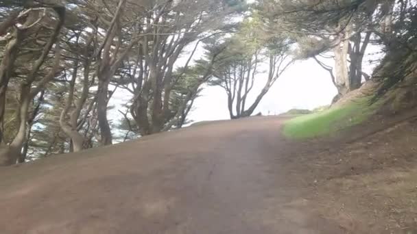 Biking Lands End Trail São Francisco — Vídeo de Stock