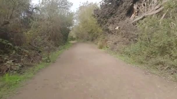 Fietsen Moraga Orinda Lafayette Trail — Stockvideo