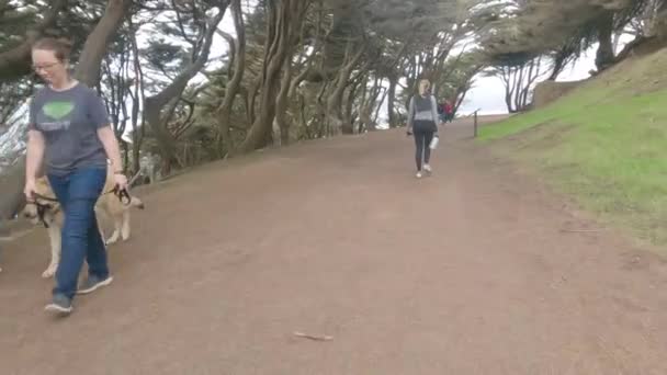 Biking Lands Vége San Francisco — Stock videók