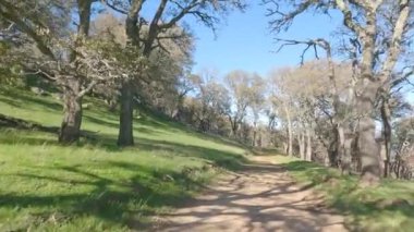 Bisikletli Morgan bölgesi Livermore California