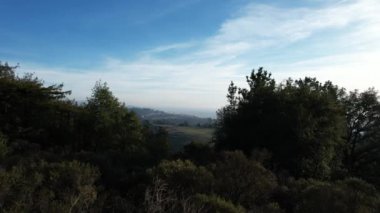 Chabot California Gölü 'ndeki orman ve göllerin üzerinde uçuyor.