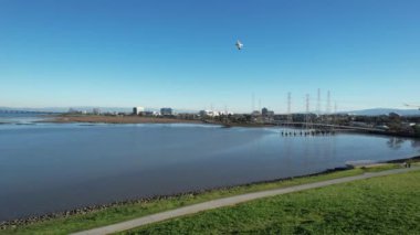 Heykellerin, bataklıkların ve Seal Point Parkı 'ndaki körfezin üzerinden uçuyor.