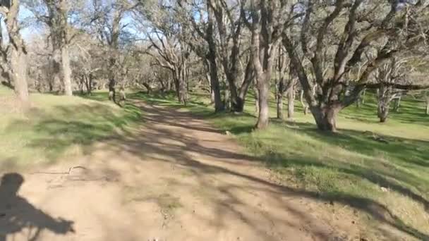 モーガンの領土を自転車 リバモア カリフォルニア — ストック動画