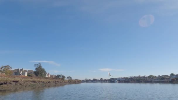 Kayak Corte Madera Creek California — Vídeo de stock