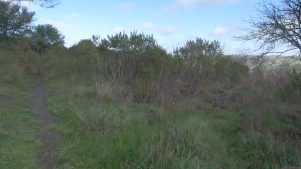 Fietsen Langs Inspiratiepunt Tilden Berkeley San Pablo Reservoir Californië — Stockvideo