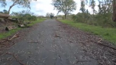 Bisikletle ilham noktası patikası, San Pablo rezervuarı, Tilden Parkı, Berkeley, California 