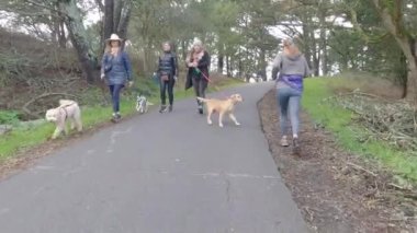 Bisikletle ilham noktası patikası, San Pablo rezervuarı, Tilden Parkı, Berkeley, California 