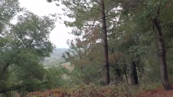 Biking Inspiration Point Trail San Pablo Reservoir Tilden Park Berkeley — Video Stock