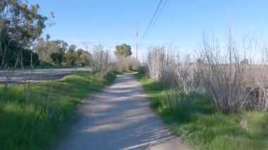 Biking Baylands trail Palo Atlo, Mountain View, California