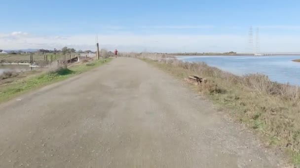 Biking Baylands Trail Palo Atlo Mountain View California — Video Stock