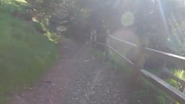 2-1-2022; Melek Adası, Kaliforniya; Perimter Yolu 'nda bisiklet sürmek, Melek Adası, San Francisco Körfezi