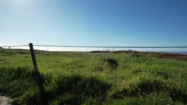 Kaliforniya sahillerinde uçarken