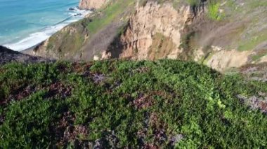 Yamaçların, plajların ve okyanusların üzerinde uçuyor Kaliforniya otoyolu boyunca.