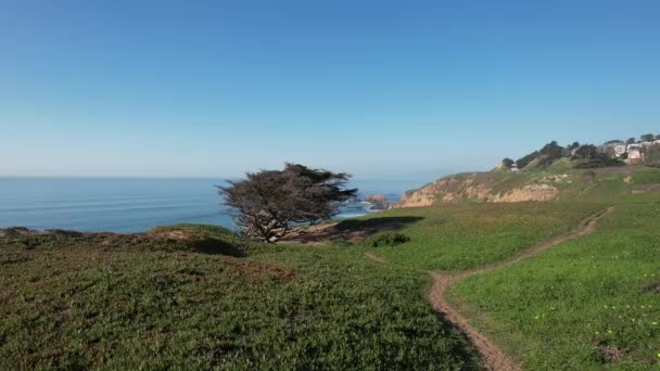 Survoler Les Falaises Long Autoroute Une Californie — Video