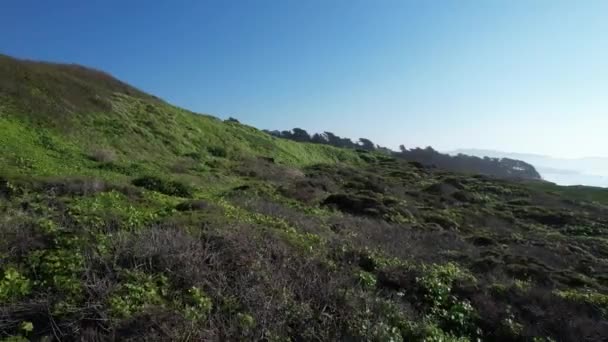 Survoler Les Falaises Long Autoroute Une Californie — Video