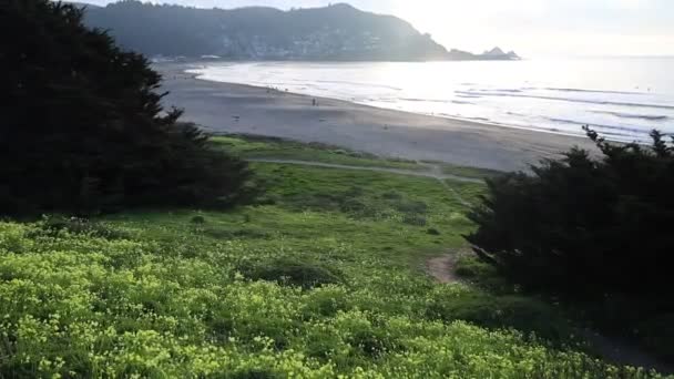 Survoler Les Falaises Océan Long Autoroute Une Californie — Video