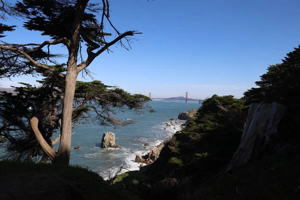 Foto Terras Fim Vigia San Francisco Califórnia — Fotografia de Stock