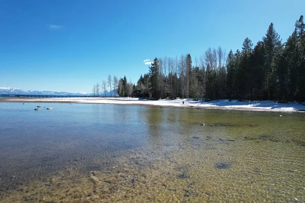 Fotoğraf Tahoe Gölü Şeker Çamı Eyalet Parkı — Stok fotoğraf