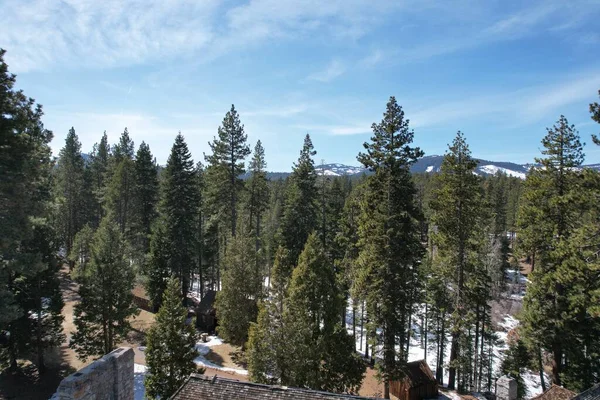 Foto Lake Tahoe Sugar Pine State Park —  Fotos de Stock