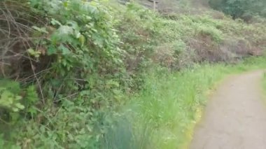 Kaliforniya 'da bisiklet kampı