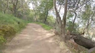 Bisikletli Çin kampı Kaliforniya