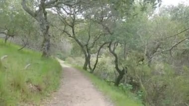 Bisikletli Çin kampı Kaliforniya