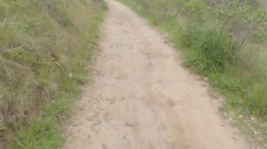 Bisikletli Çin kampı Kaliforniya