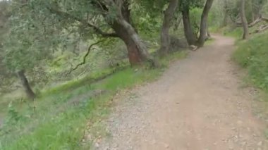 Bisikletli Çin kampı Kaliforniya