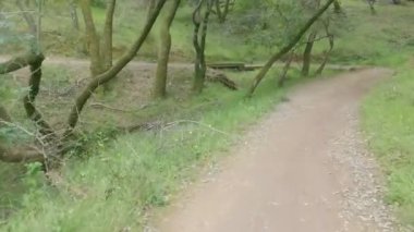 Bisikletli Çin kampı Kaliforniya