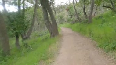 Bisikletli Çin kampı Kaliforniya