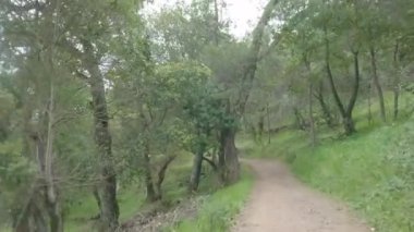 Bisikletli Çin kampı Kaliforniya