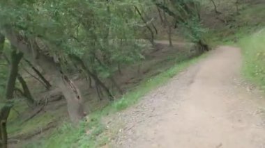 Bisikletli Çin kampı Kaliforniya