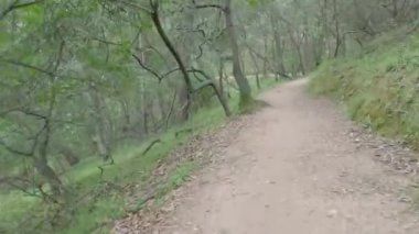 Bisikletli Çin kampı Kaliforniya