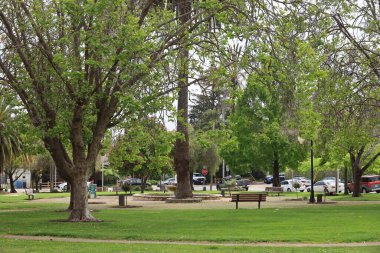 3-10-2022: Santa Cruz, California: Santa Cruz Şehri