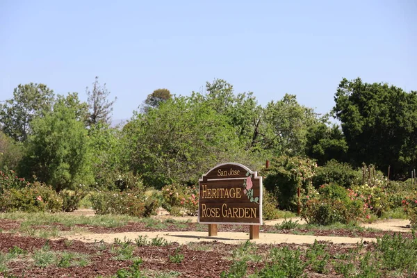 San Jose belediye gül gardem