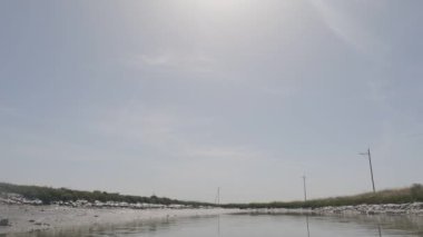 Hayward California 'da kürek çekme bataklığı